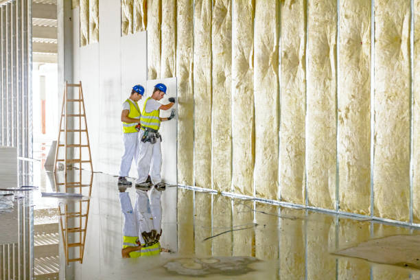 Best Types of Insulation in Wildewood, MD